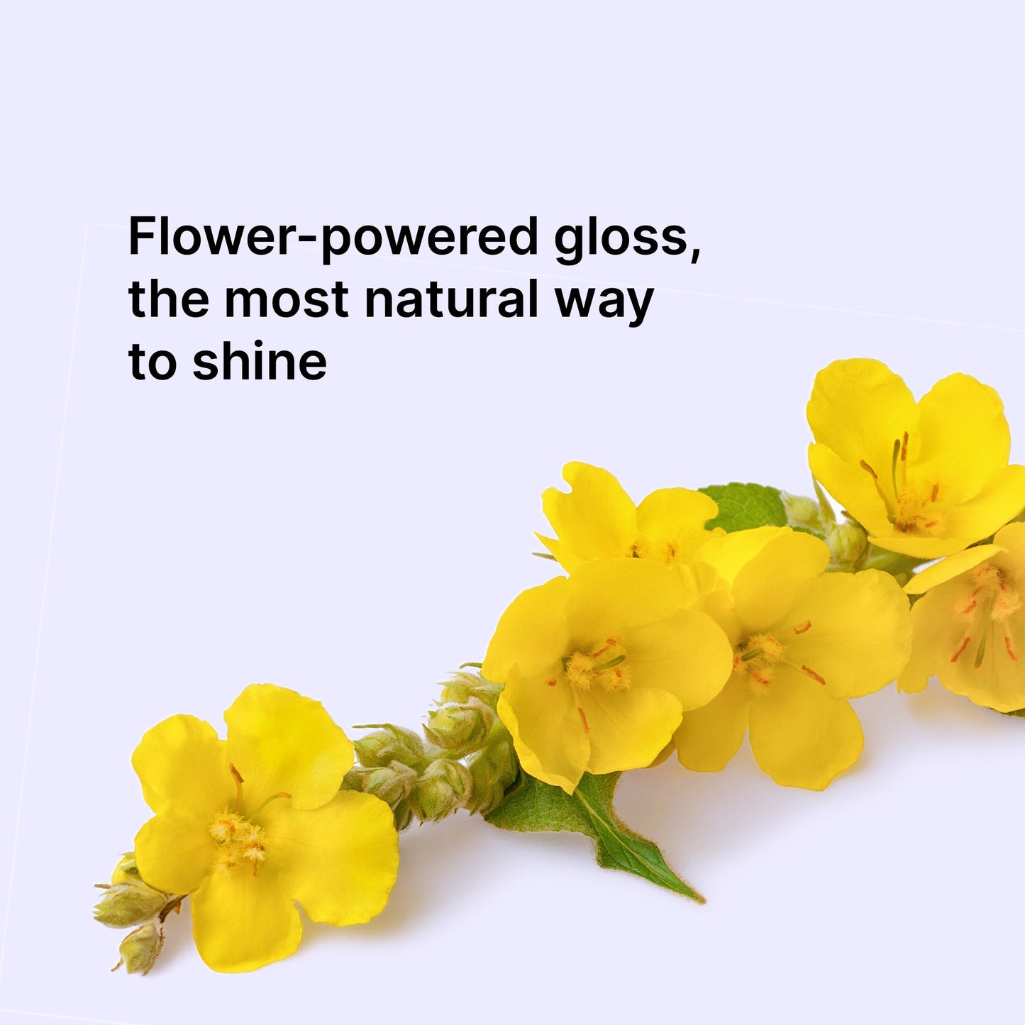 Color Wow Extra Mistical Shine Spray