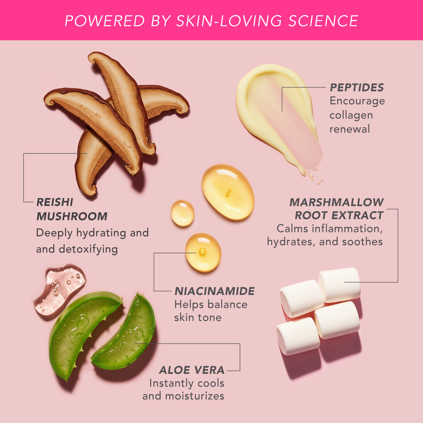 Doll 10 Peptide Bounce Flex Foundation