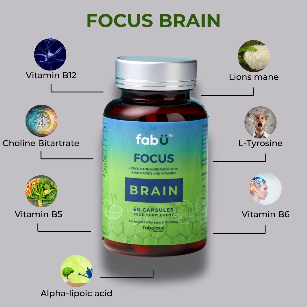 fabÜ FOCUS BRAIN