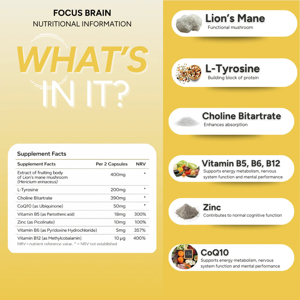 fabÜ FOCUS BRAIN