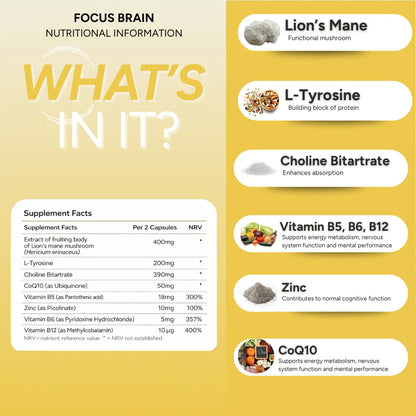 fabÜ FOCUS BRAIN