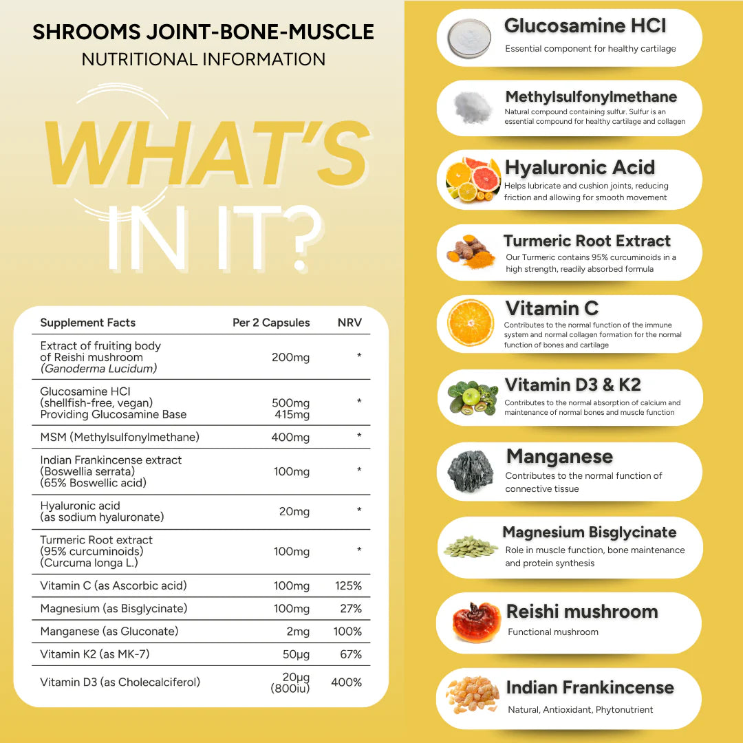fabÜ Joint-Bone-Muscle