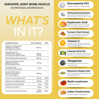 fabÜ Joint-Bone-Muscle
