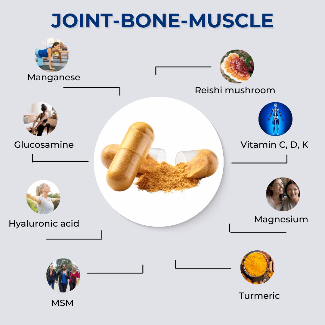 fabÜ Joint-Bone-Muscle