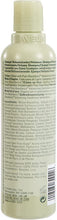 Load image into Gallery viewer, AVEDA PURE ABUNDANCE SHAMPOO 250ml
